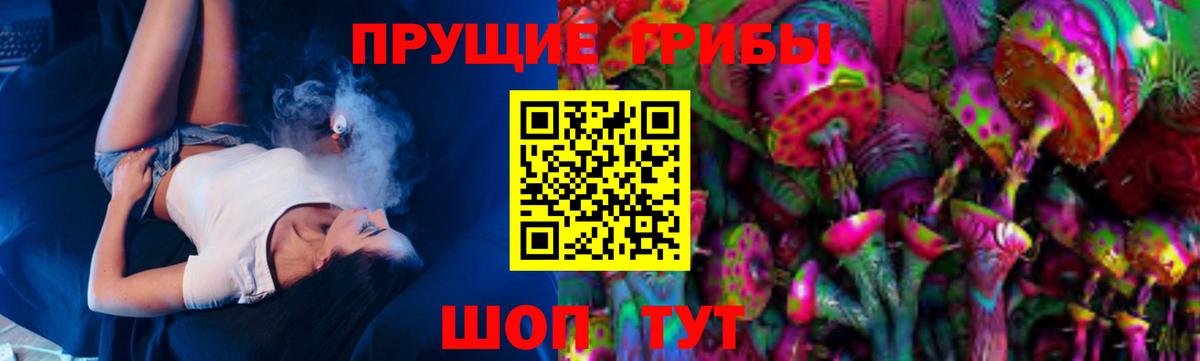 Новочебоксарск  Псилоцибиновые грибы мухоморы  продажа наркотиков  Вход с VPN 